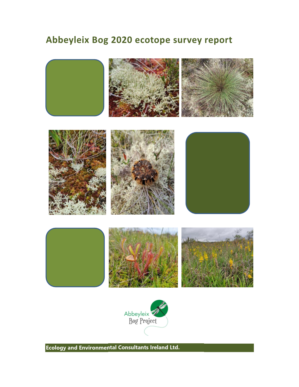 Abbeyleix Bog 2020 Ecotope Survey Report