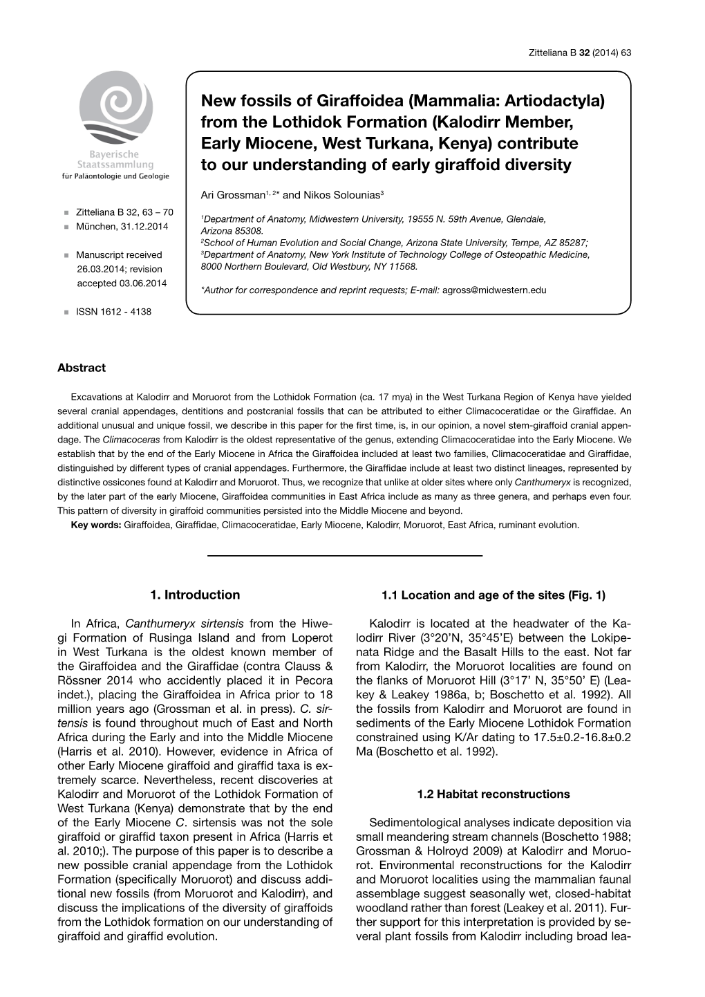 New Fossils of Giraffoidea (Mammalia: Artiodactyla) from the Lothidok Formation (Kalodirr Member, Early Miocene, West Turkana, K