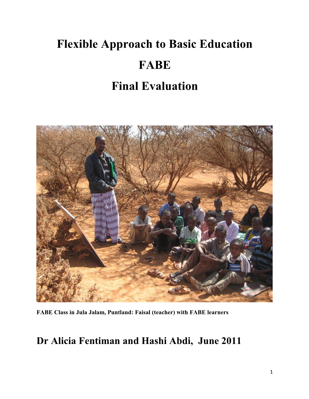 Flexible Approach to Basic Education FABE: Final Evaluation