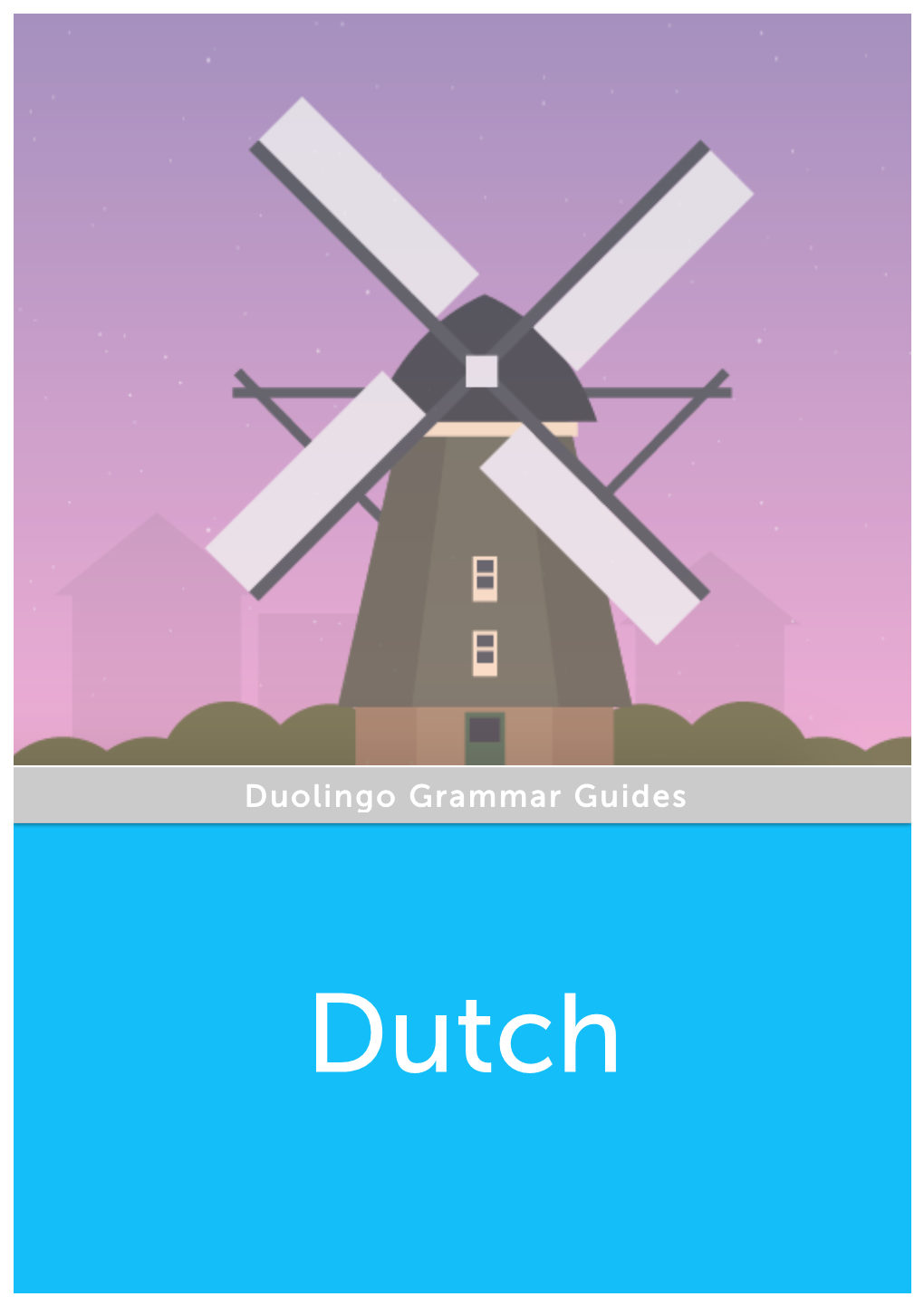 Duolingo Grammar Guides