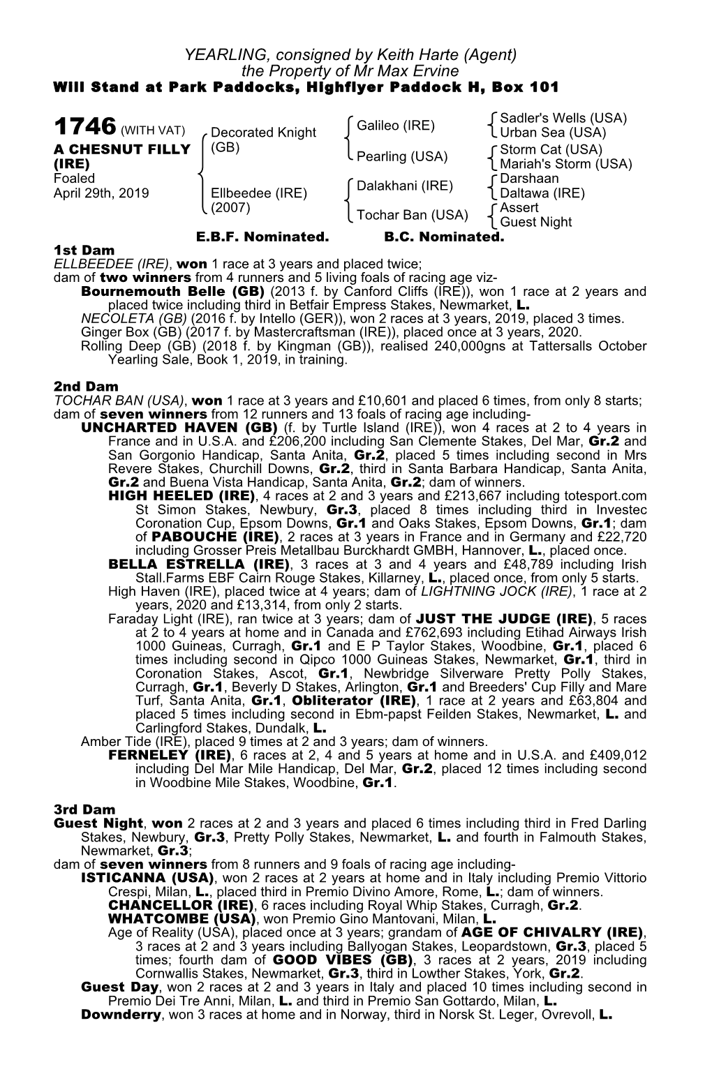 YEARLING, Consigned by Keith Harte (Agent) the Property of Mr Max Ervine Will Stand at Park Paddocks, Highflyer Paddock H, Box 101