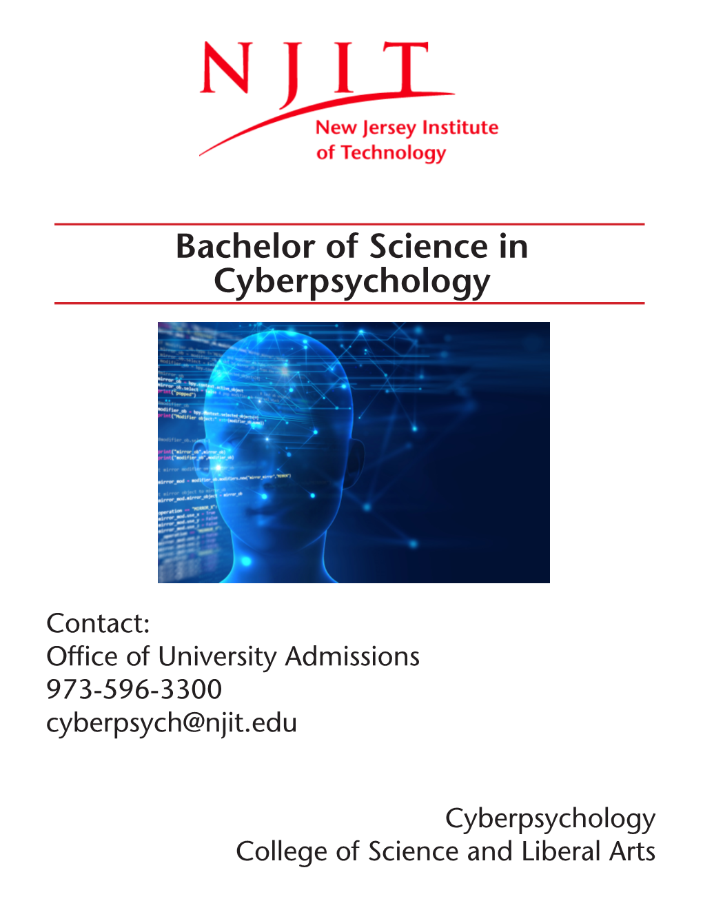 Bachelor of Science in Cyberpsychology