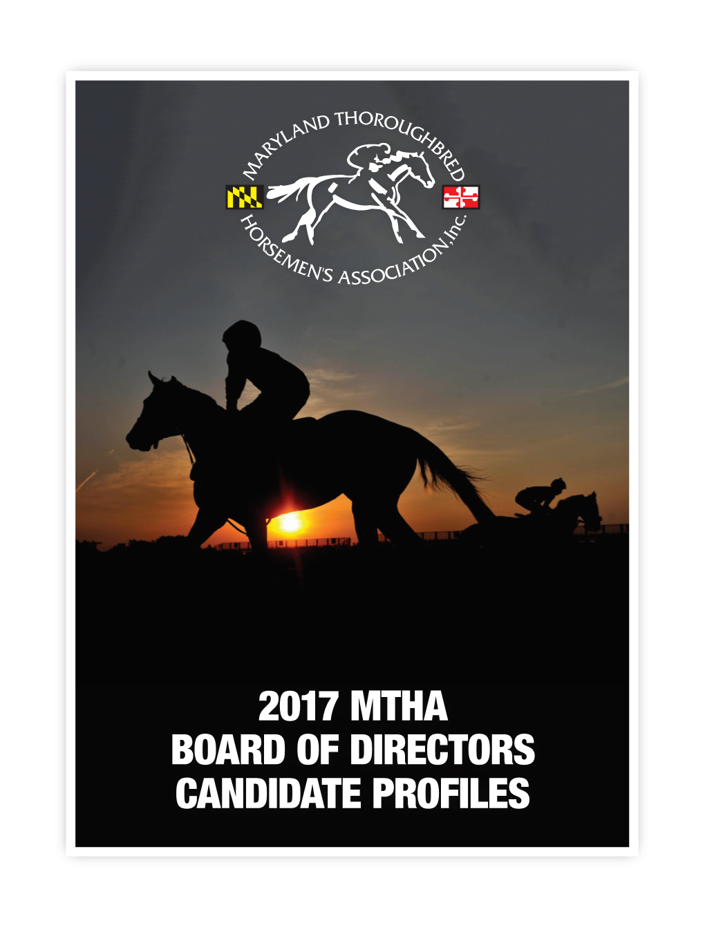 2017 Mtha Board of Directors Candidate Profiles