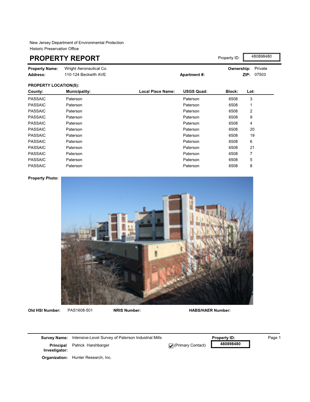 PROPERTY REPORT Property ID: 480898480