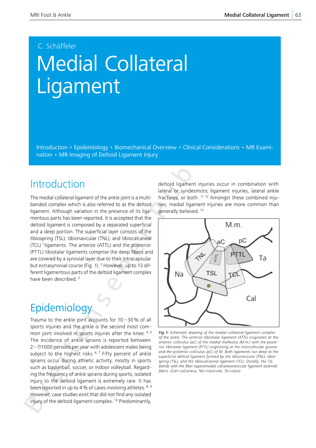 Medial Collateral Ligament, Pages 63