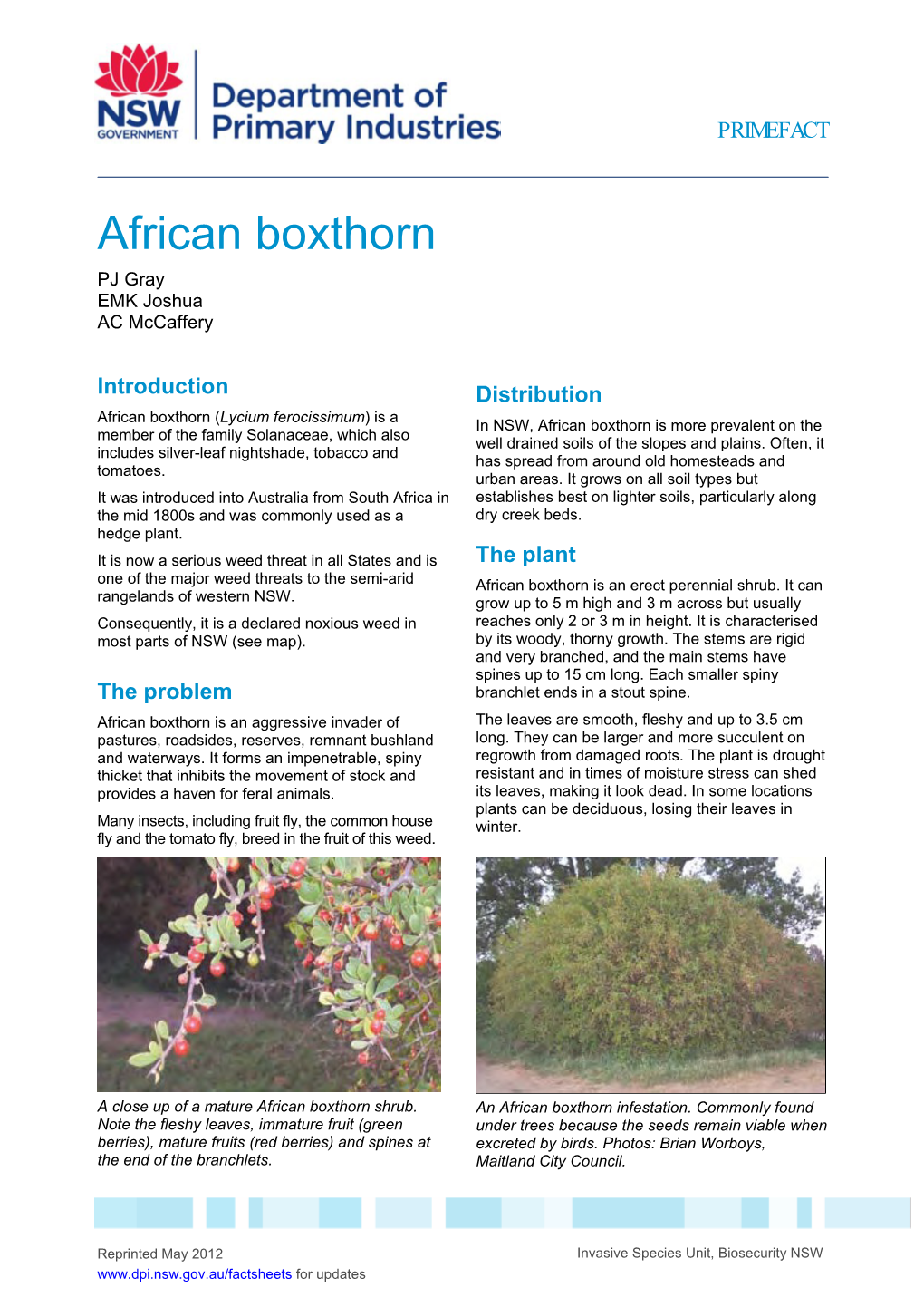 African Boxthorn PJ Gray EMK Joshua AC Mccaffery