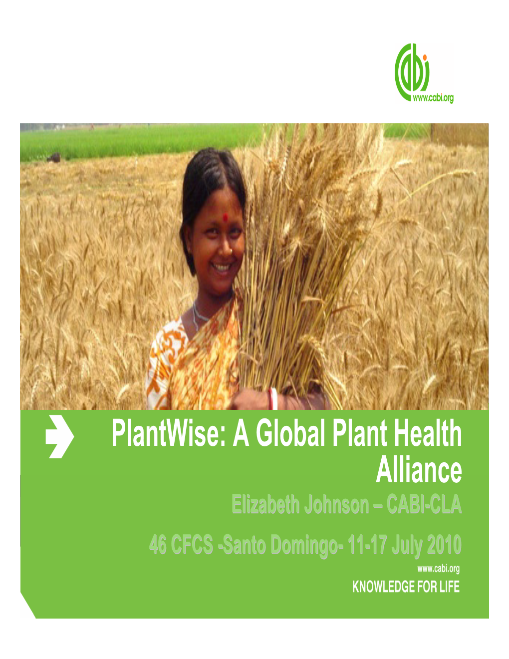 Plantwise: a Global Plant Health Alliance Elizabeth Johnson – CABI-CLA 46 CFCS -Santo Domingo- 11-17 July 2010 the World Today