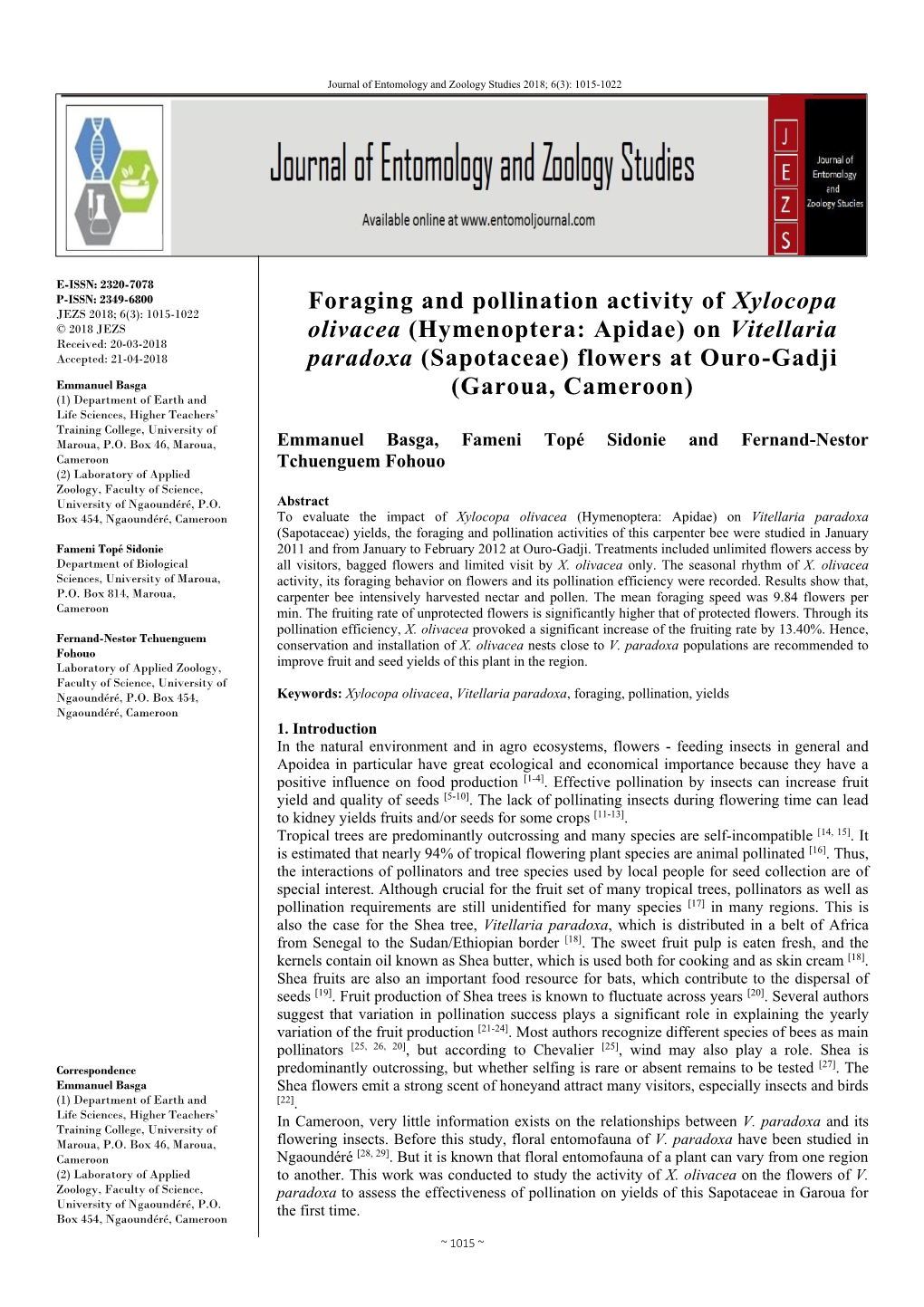 Foraging and Pollination Activity of Xylocopa Olivacea (Hymenoptera