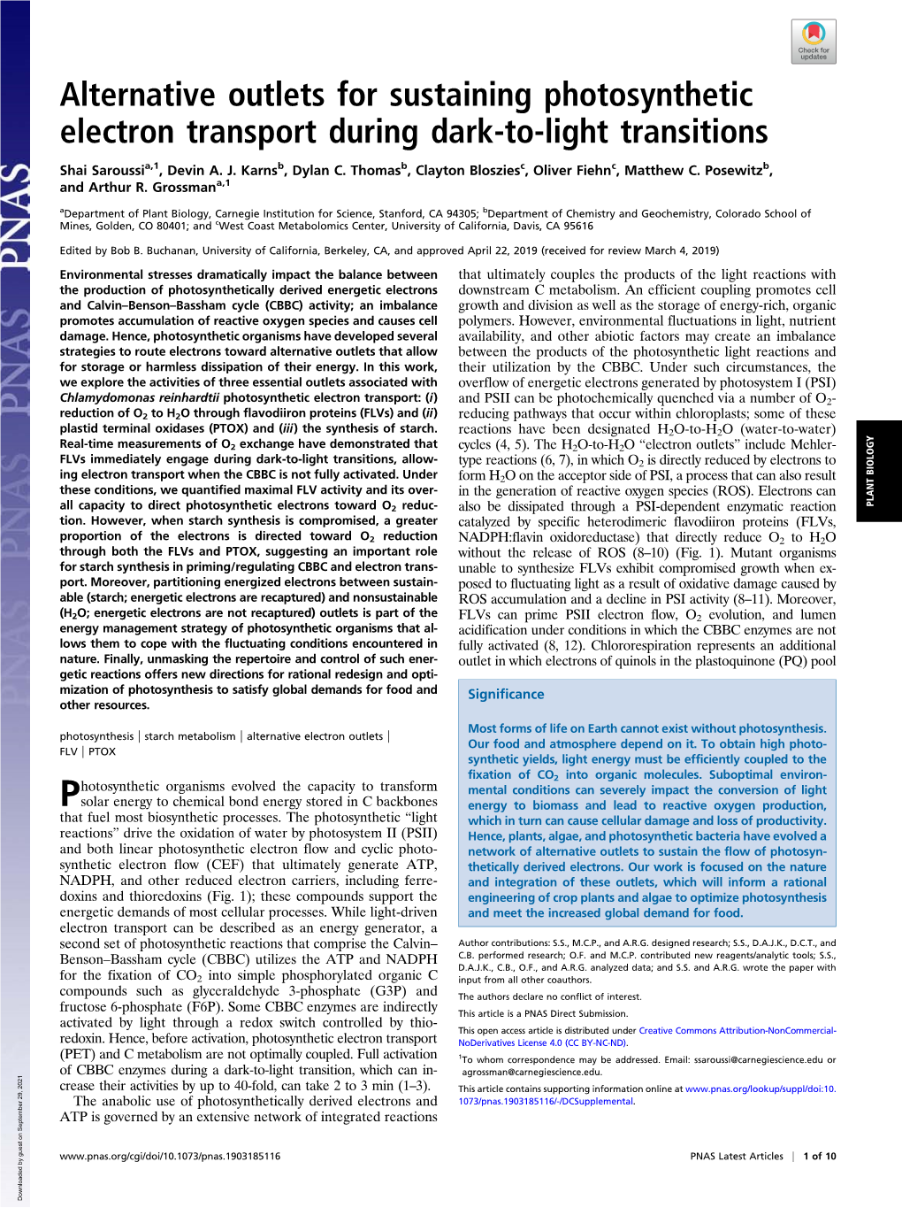 Alternative Outlets for Sustaining Photosynthetic Electron Transport During Dark-To-Light Transitions