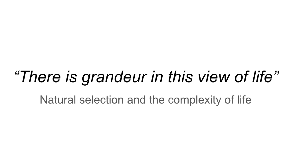 “There Is Grandeur in This View of Life” Natural Selection and the Complexity of Life Need Some Help?