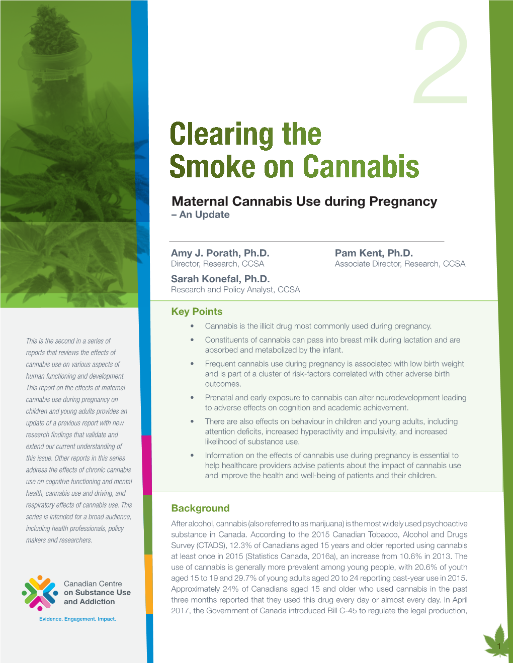 Clearing the Smoke on Cannabis Maternal Cannabis Use During Pregnancy – an Update