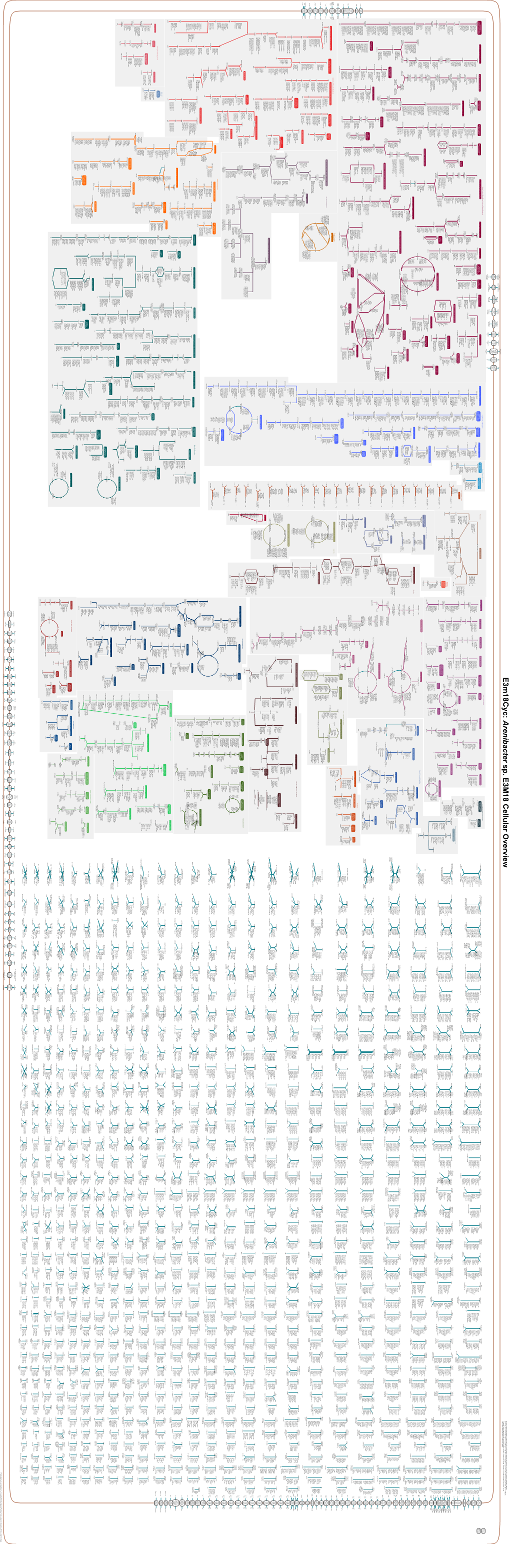 Generated by SRI International Pathway Tools Version 25.0, Authors S