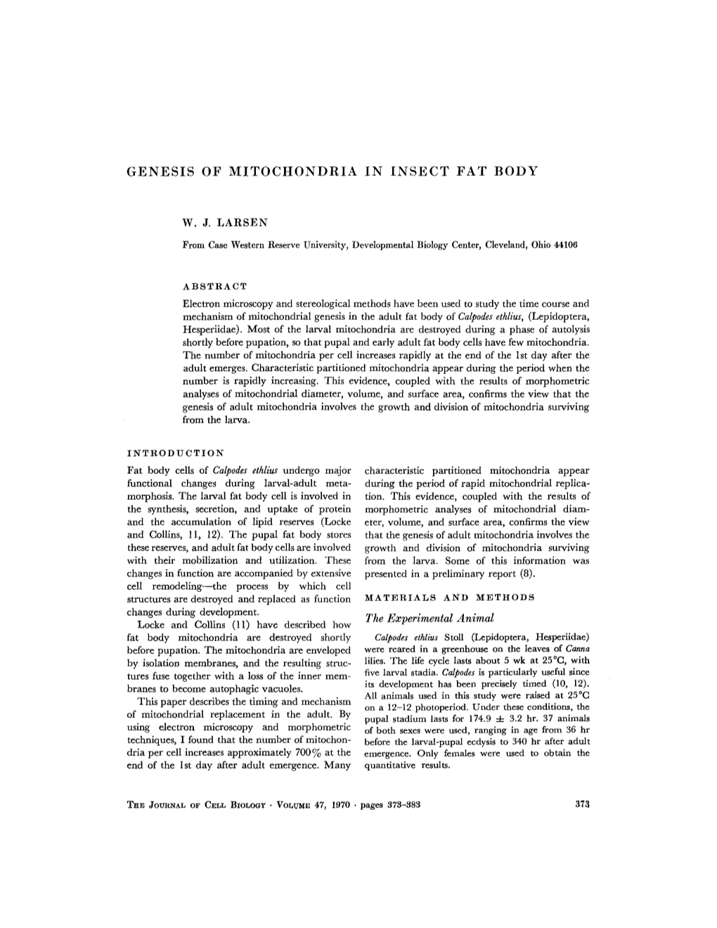 Genesis of Mitochondria in Insect Fat Body W. J. Larsen