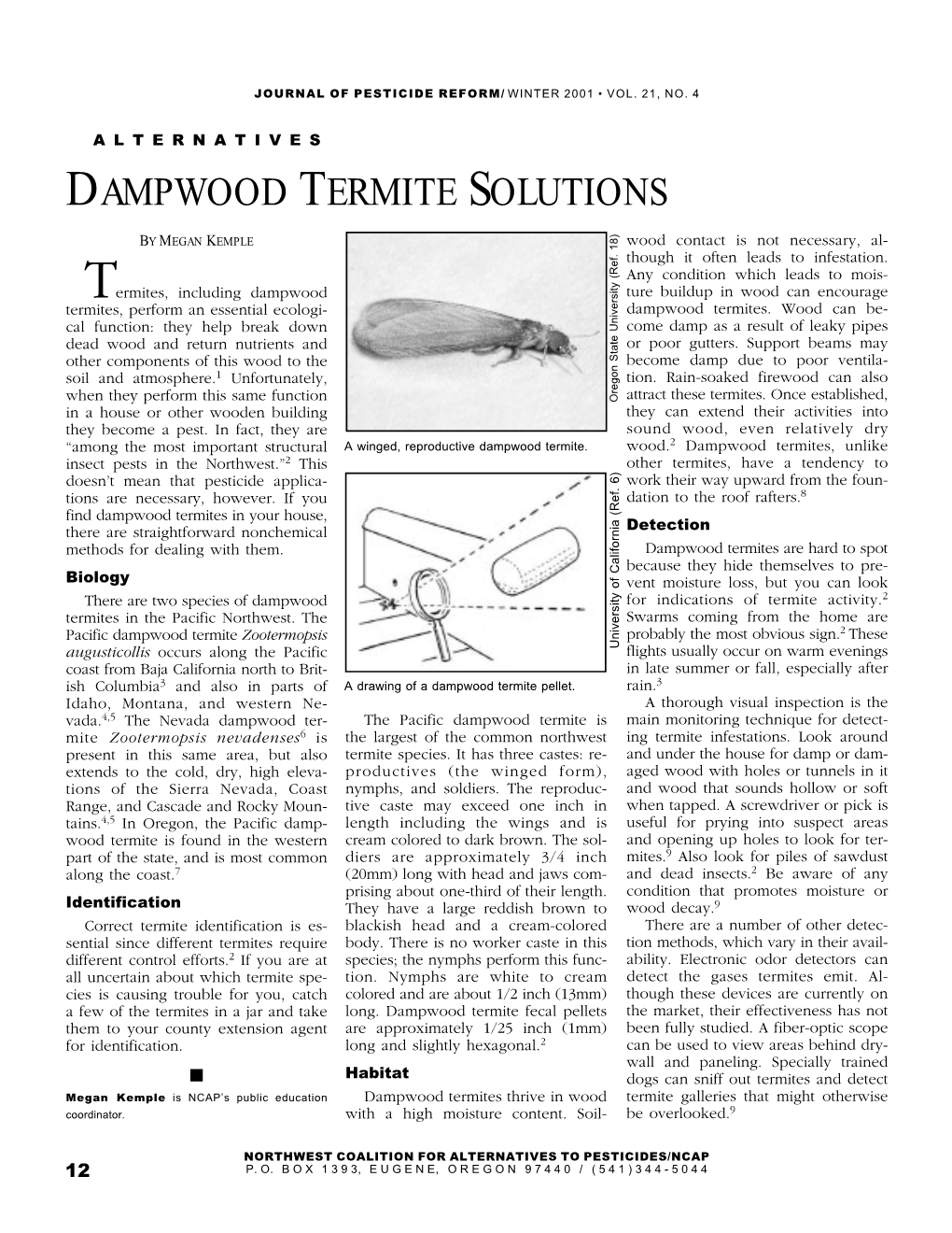 Dampwood Termite Solutions