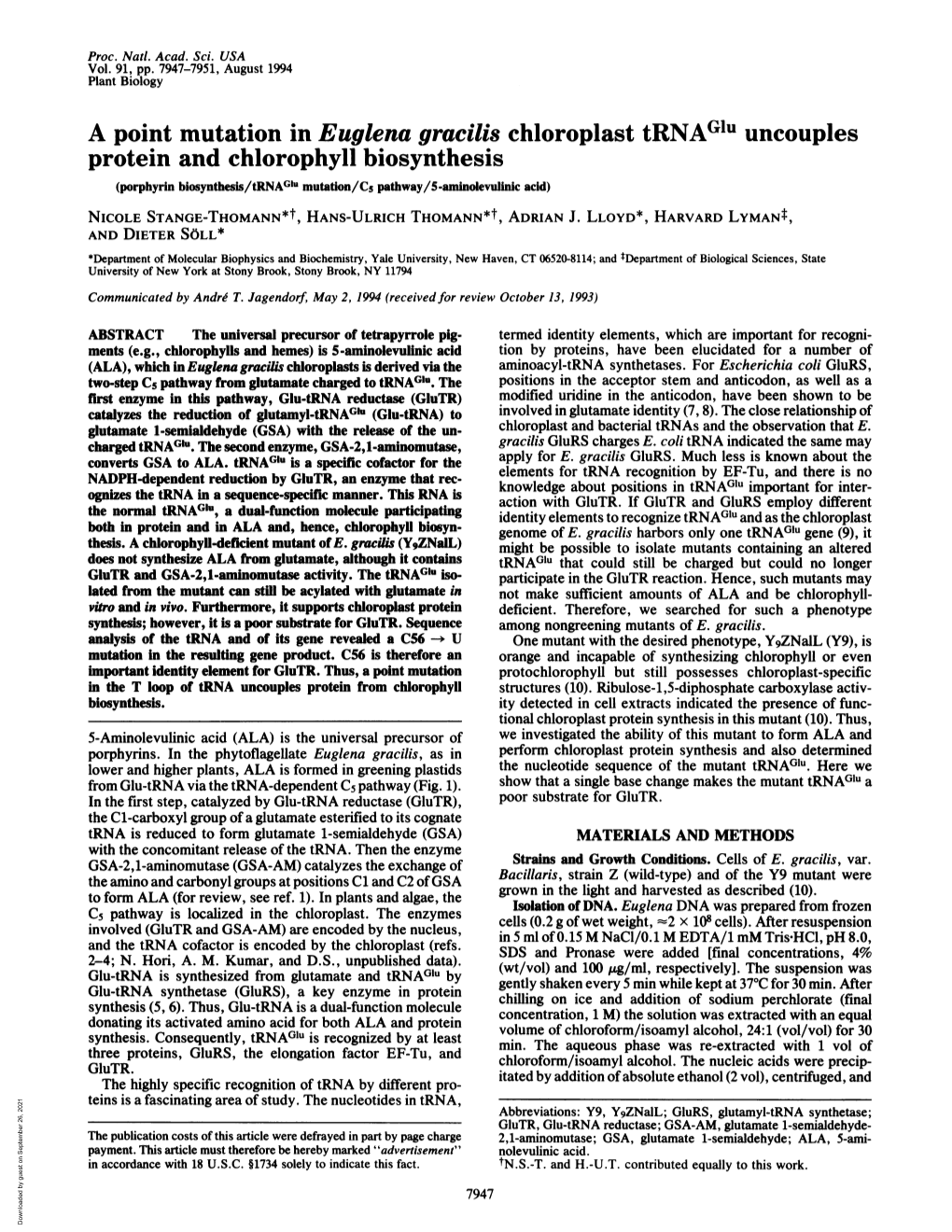 Protein and Chlorophyll Biosynthesis