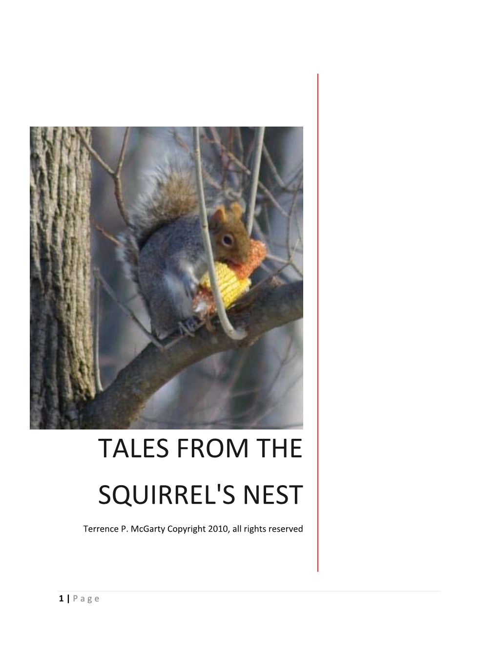 Tales from the Squirrel's Nest