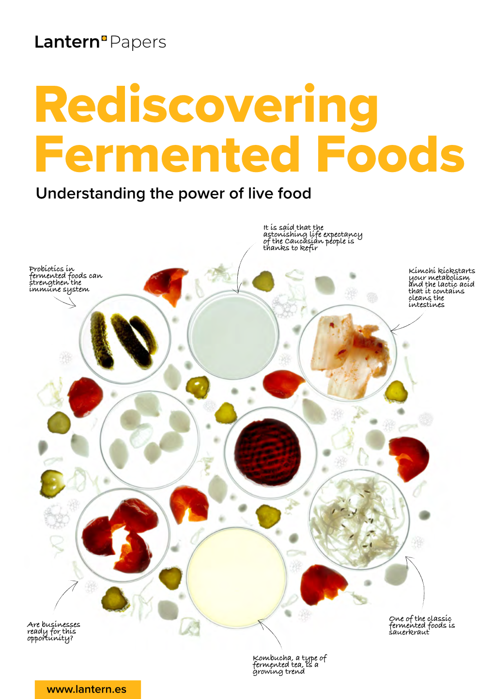 Rediscovering Fermented Foods Understanding the Power of Live Food