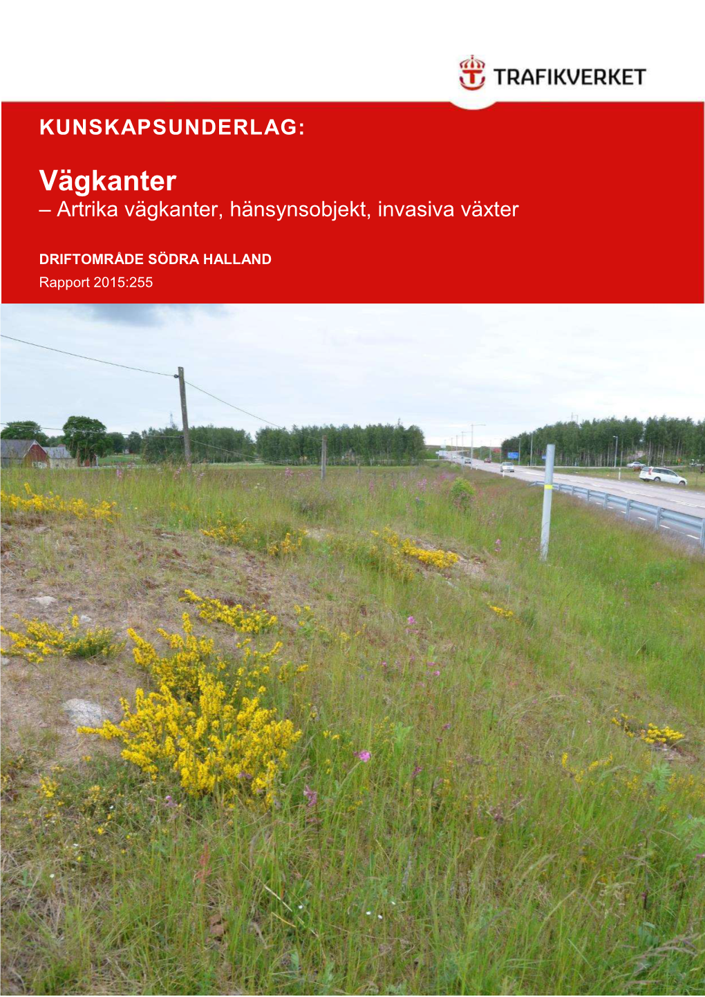 Artrika Vägkanter, Hänsynsobjekt, Invasiva Växter