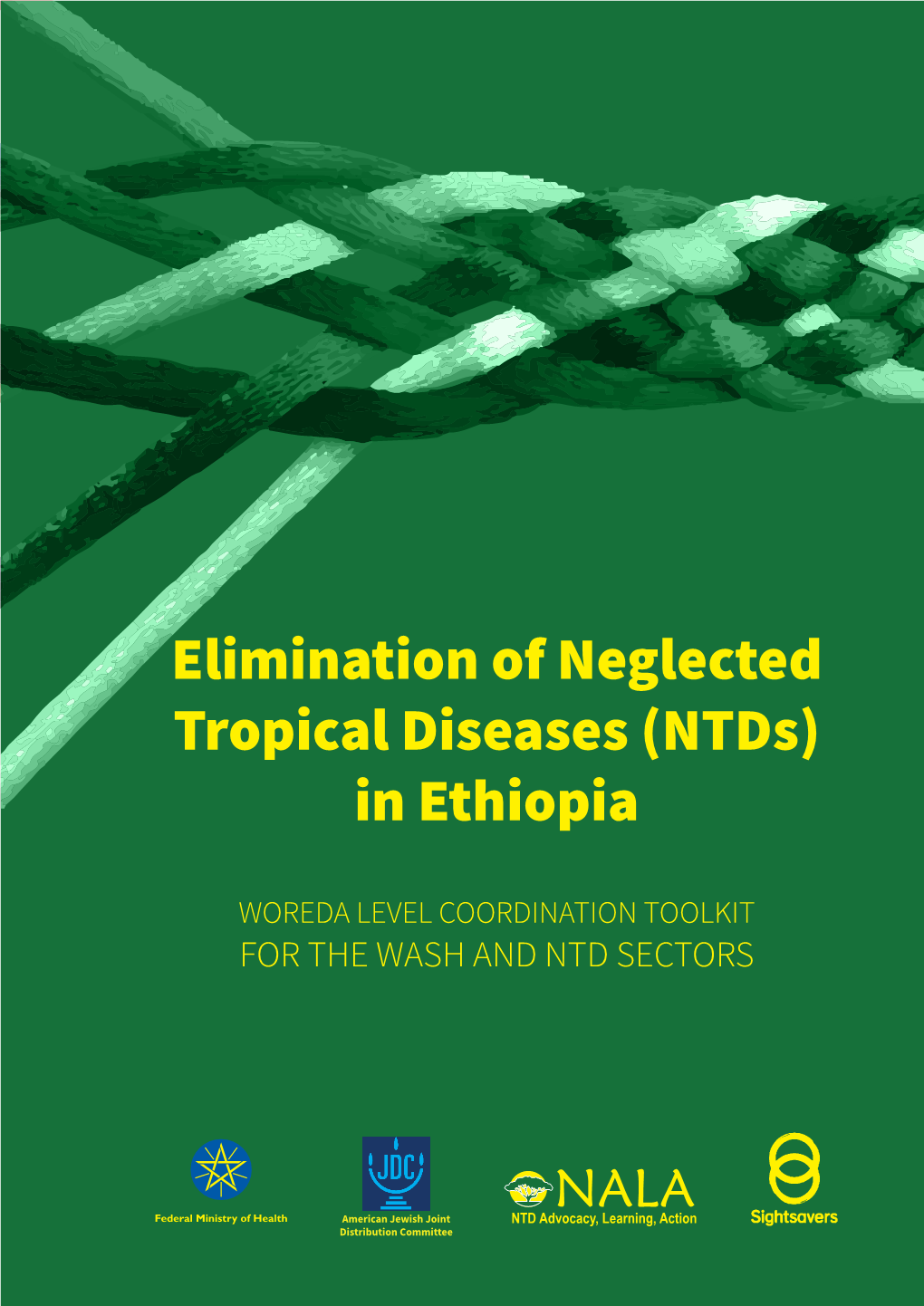 Elimination of Neglected Tropical Diseases (Ntds) in Ethiopia