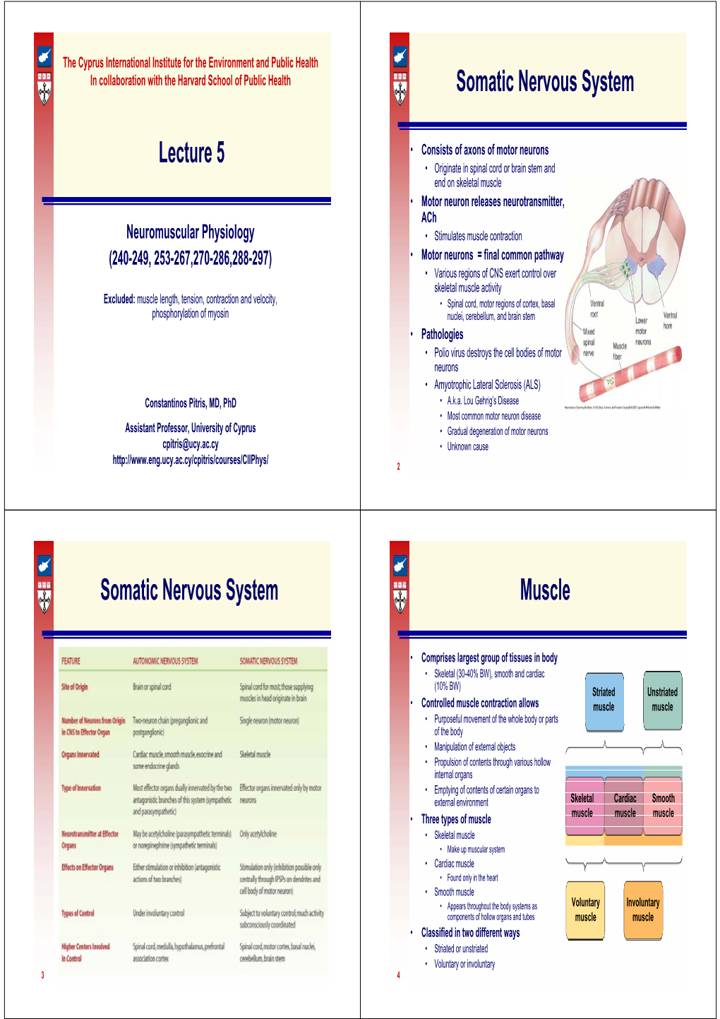 Somatic Nervous System