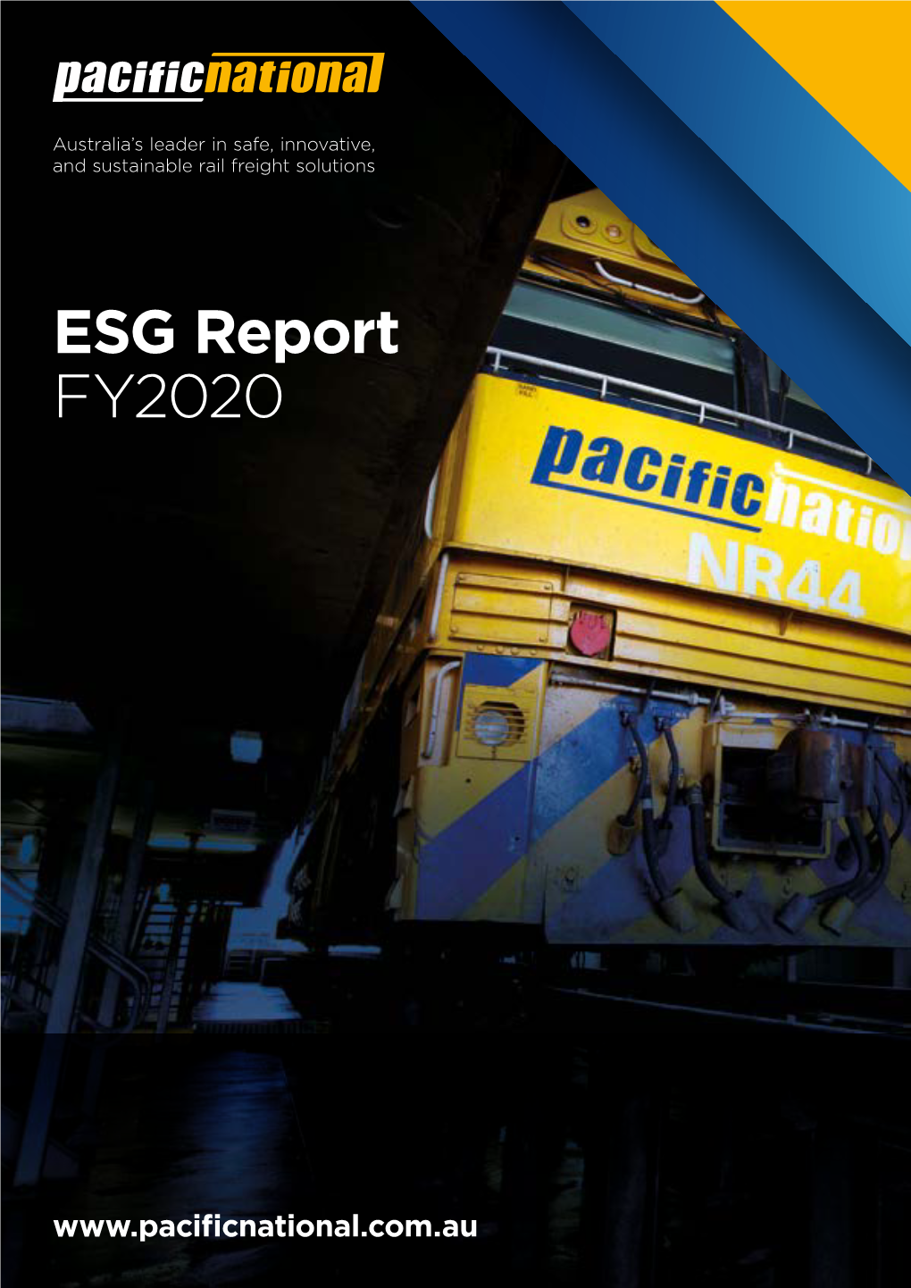 ESG Report FY2020