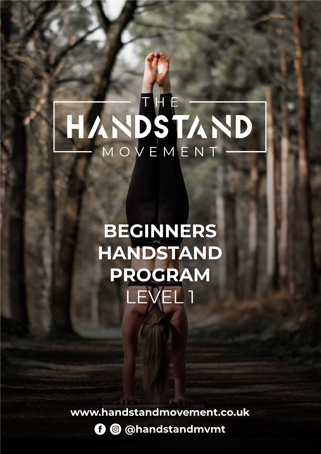 Beginners Handstand Program Level 1