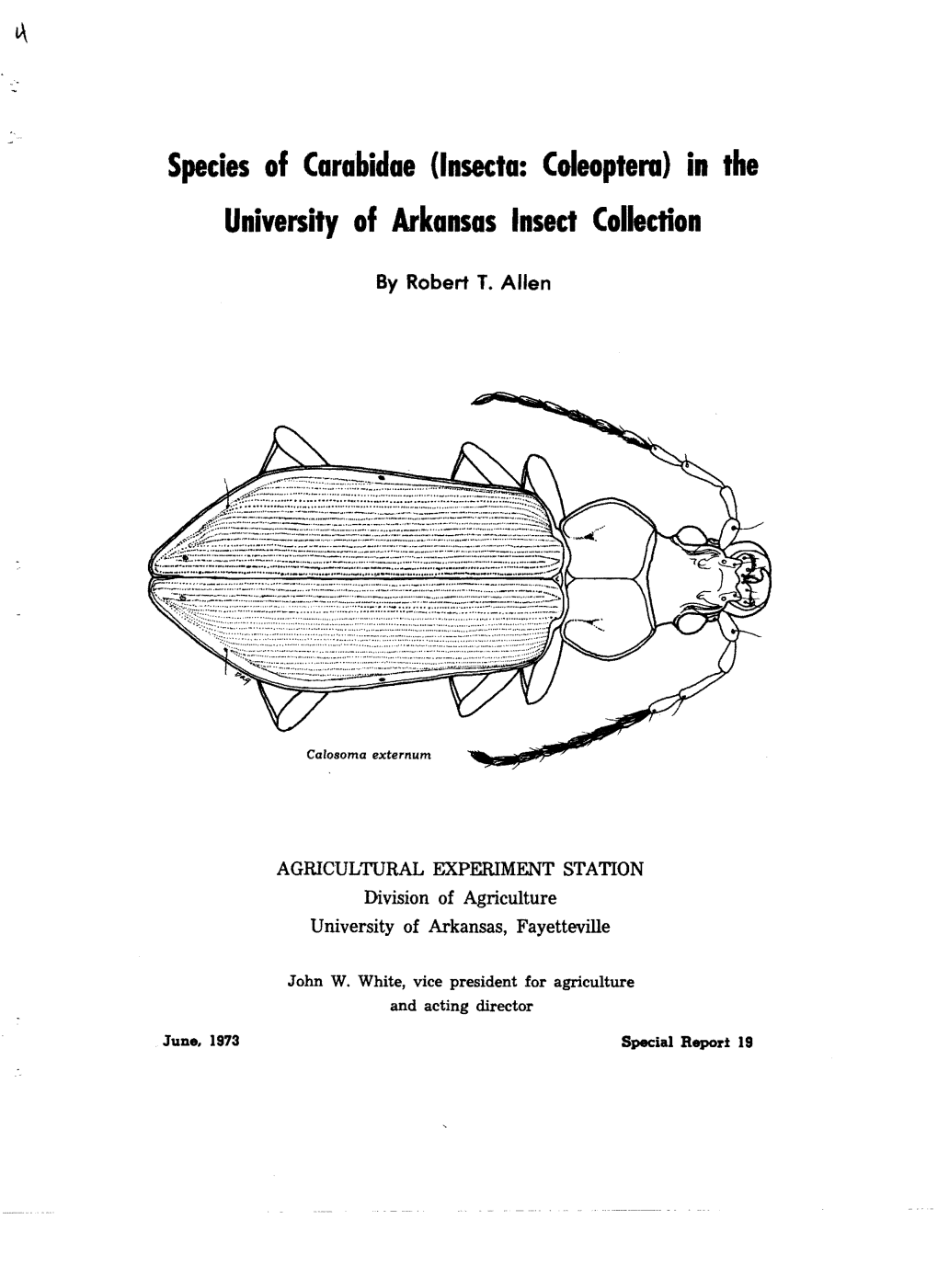 Species of Carabidae (Insecta: Coleoptera) in the University of Arkansas Insed Collection