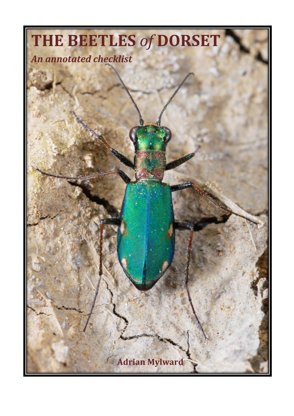 Dorset Beetle Checklist