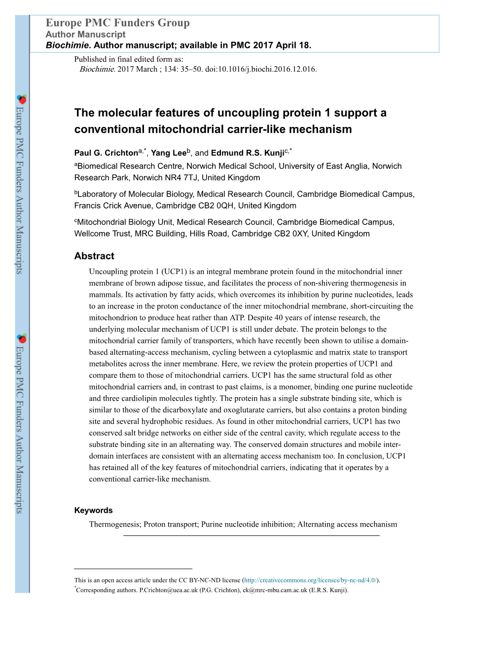 The Molecular Features of Uncoupling Protein 1 Support a Conventional Mitochondrial Carrier-Like Mechanism