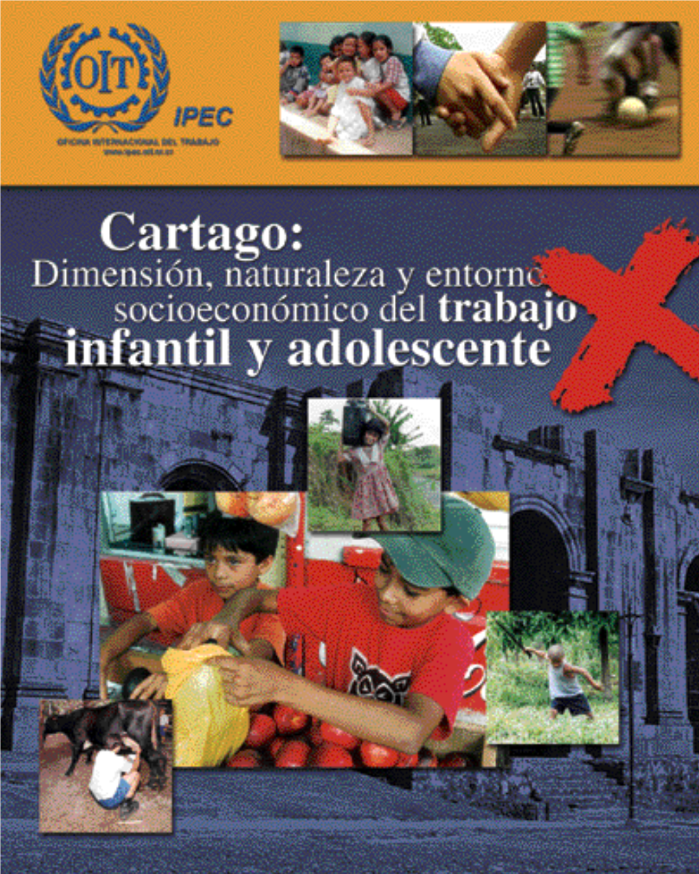 Cartago: Dimensión, Naturaleza Y Entorno Socioeconómico Del Trabajo Infantil Y Adolescente, 2002