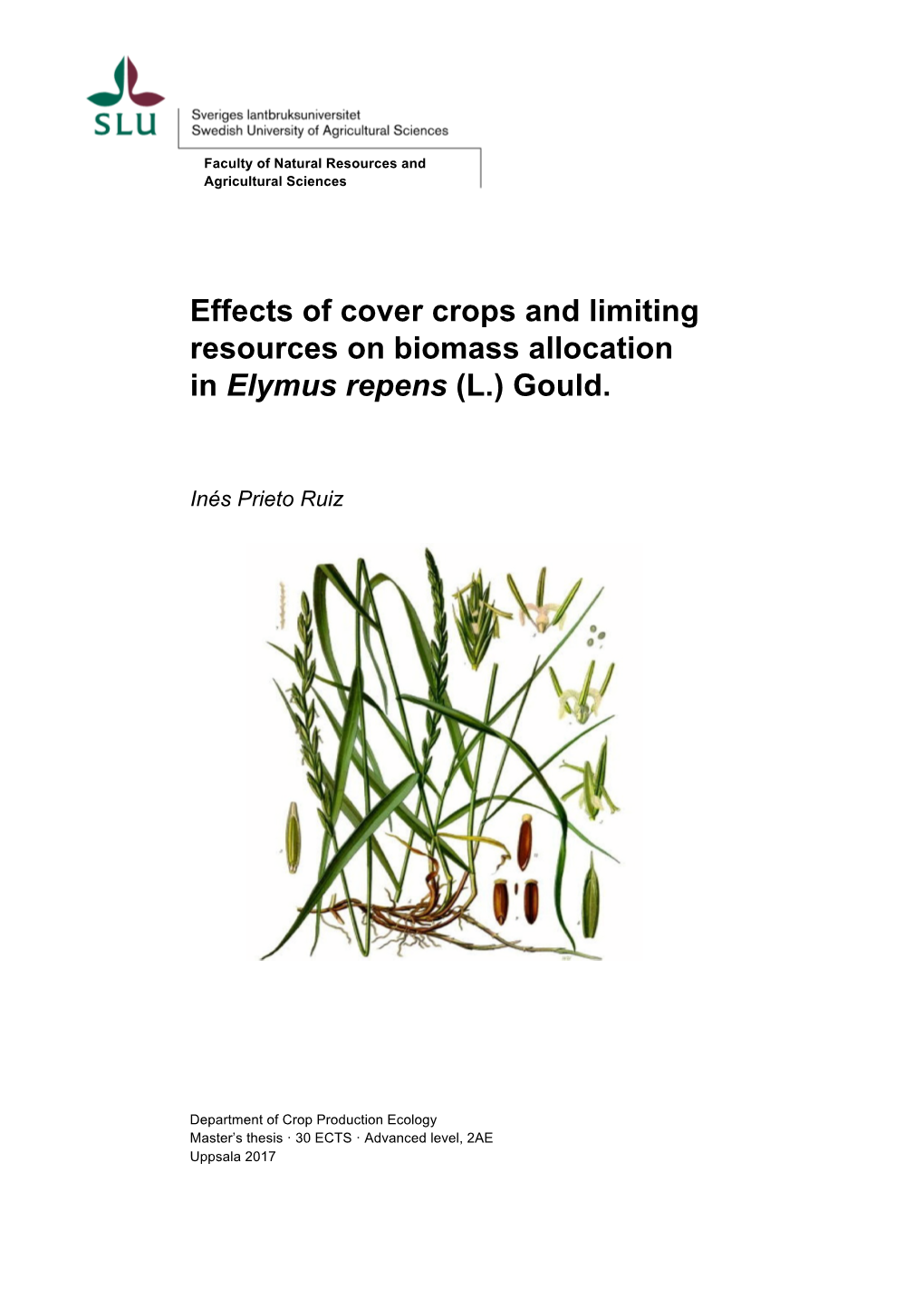 Effects of Cover Crops and Limiting Resources on Biomass Allocation in Elymus Repens (L.) Gould