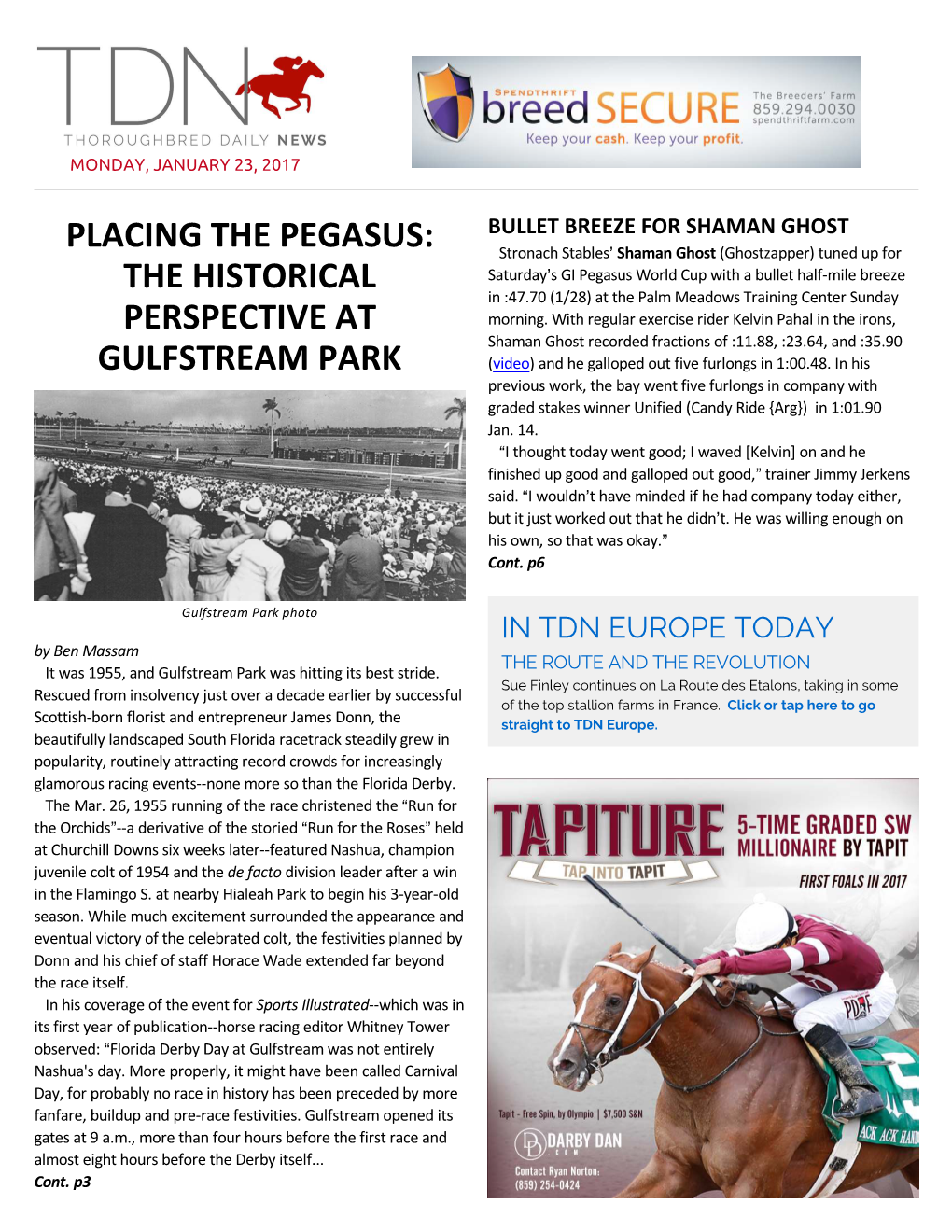 Placing the Pegasus: the Historical Perspective at Gulfstream Park