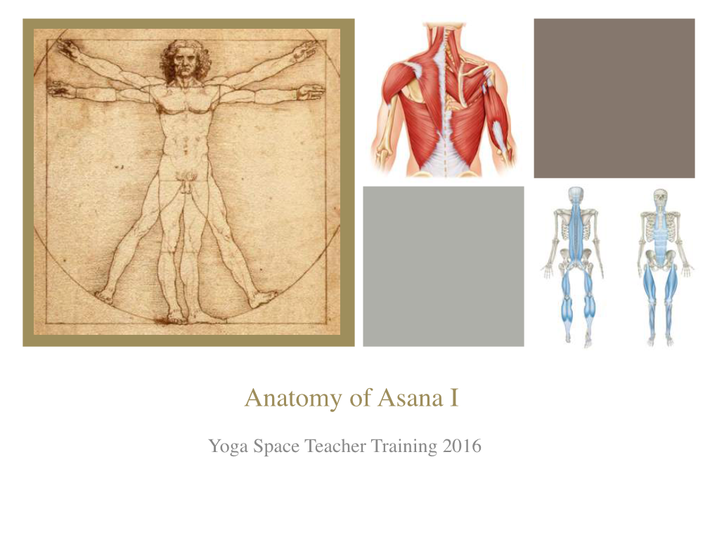 Anatomy of Asana I