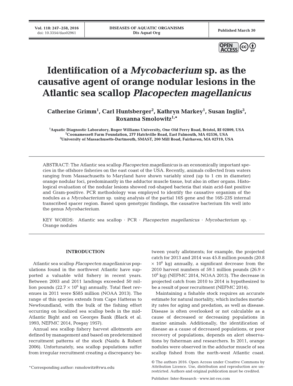 Identification of a Mycobacterium Sp. As the Causative Agent of Orange Nodular Lesions in the Atlantic Sea Scallop Placopecten Magellanicus