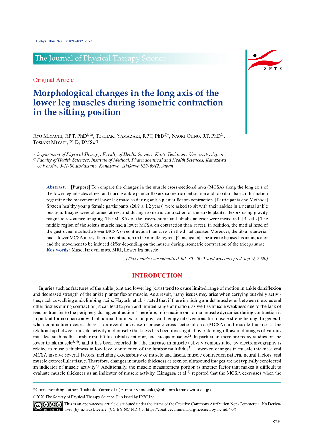 Morphological Changes in the Long Axis of the Lower Leg Muscles During Isometric Contraction in the Sitting Position