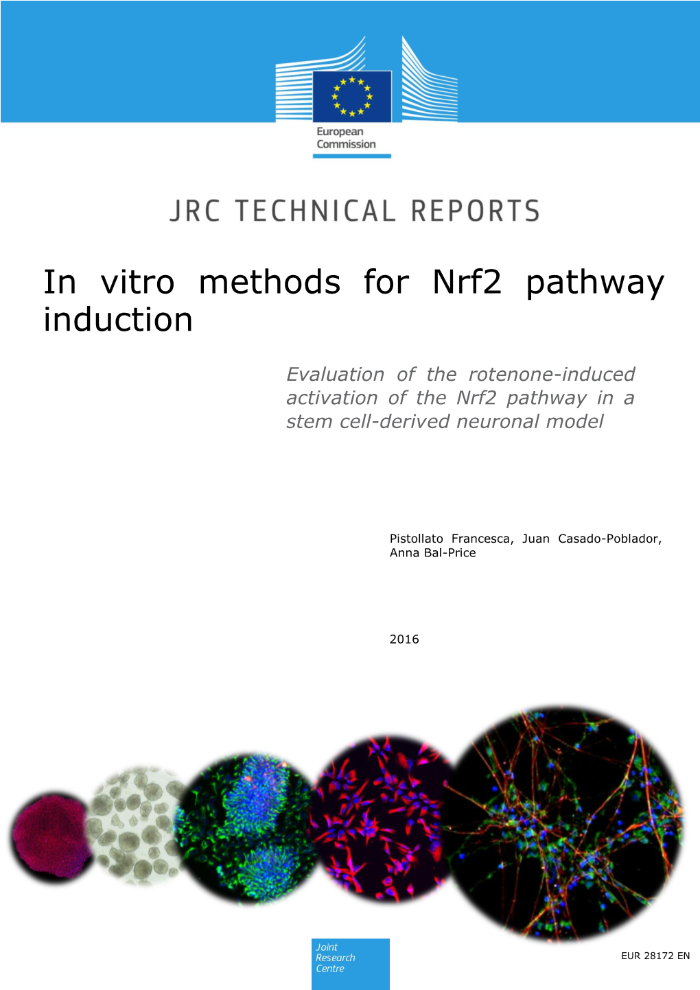 In Vitro Methods for Nrf2 Pathway Induction