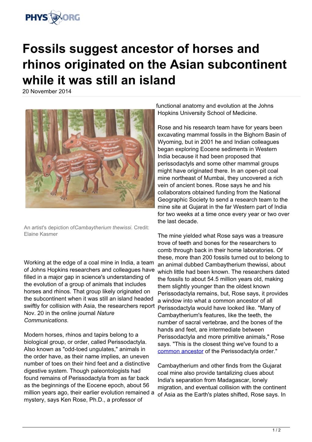 Fossils Suggest Ancestor of Horses and Rhinos Originated on the Asian Subcontinent While It Was Still an Island 20 November 2014