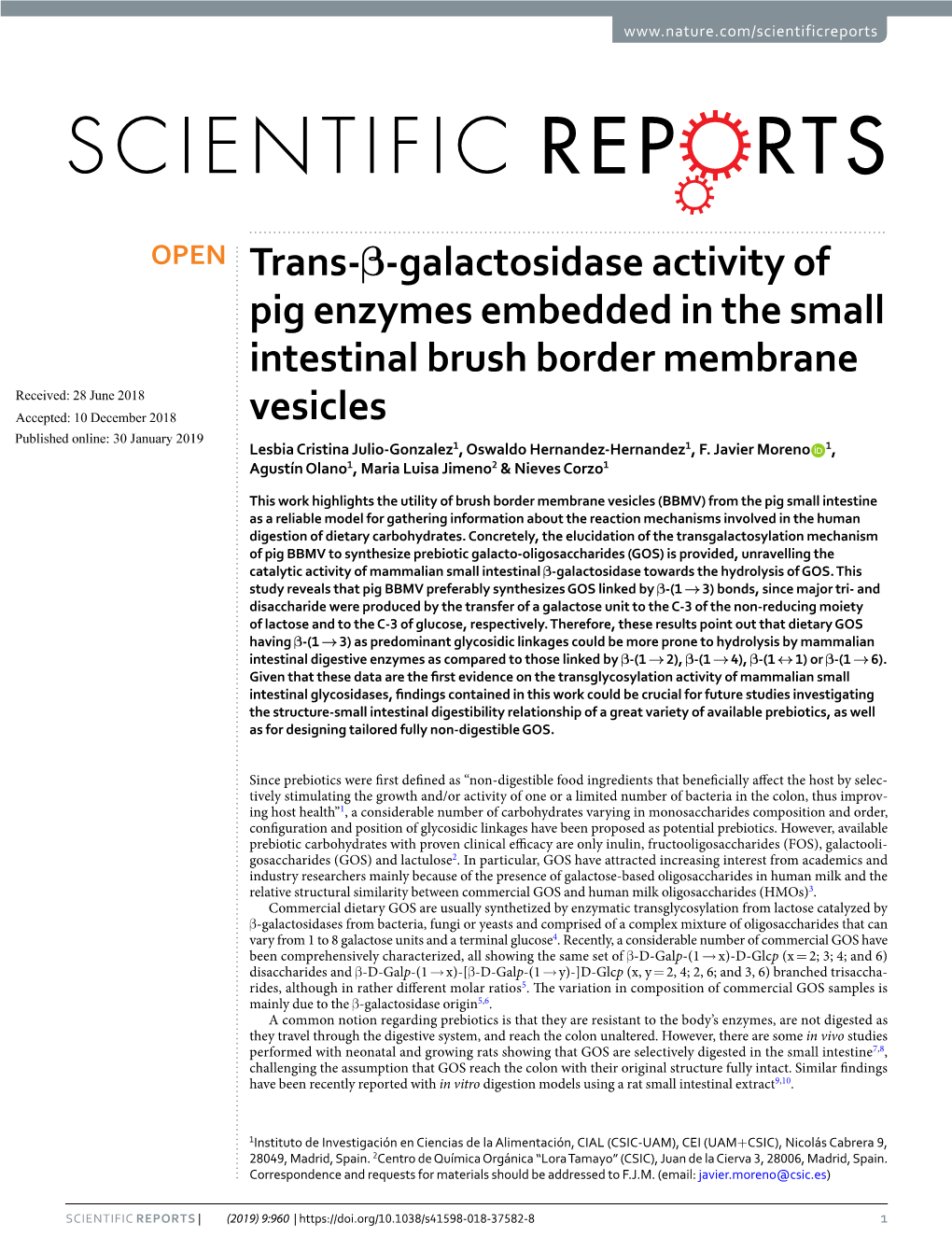 Trans-Β-Galactosidase Activity of Pig Enzymes Embedded in the Small