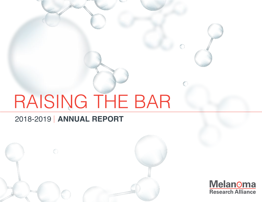 Raising the Bar 2018-2019 Annual Report