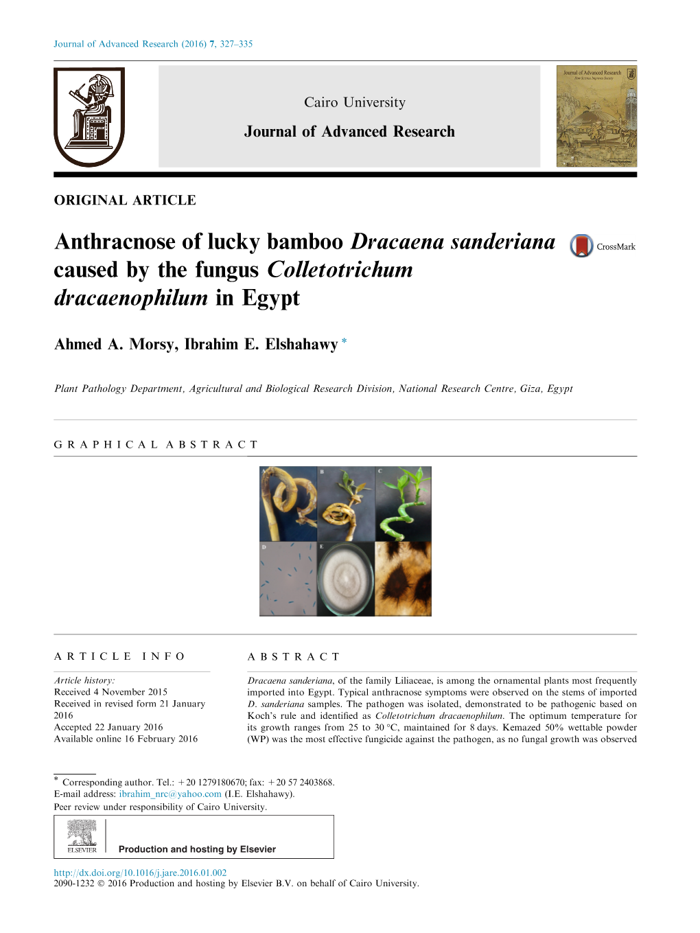 Anthracnose of Lucky Bamboo Dracaena Sanderiana Caused by the Fungus Colletotrichum Dracaenophilum in Egypt