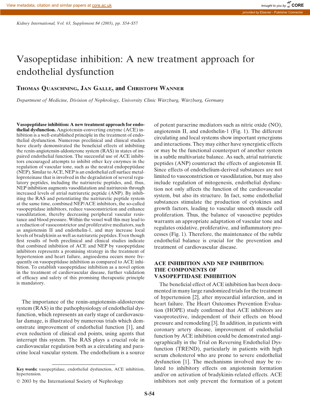 Vasopeptidase Inhibition: a New Treatment Approach for Endothelial Dysfunction