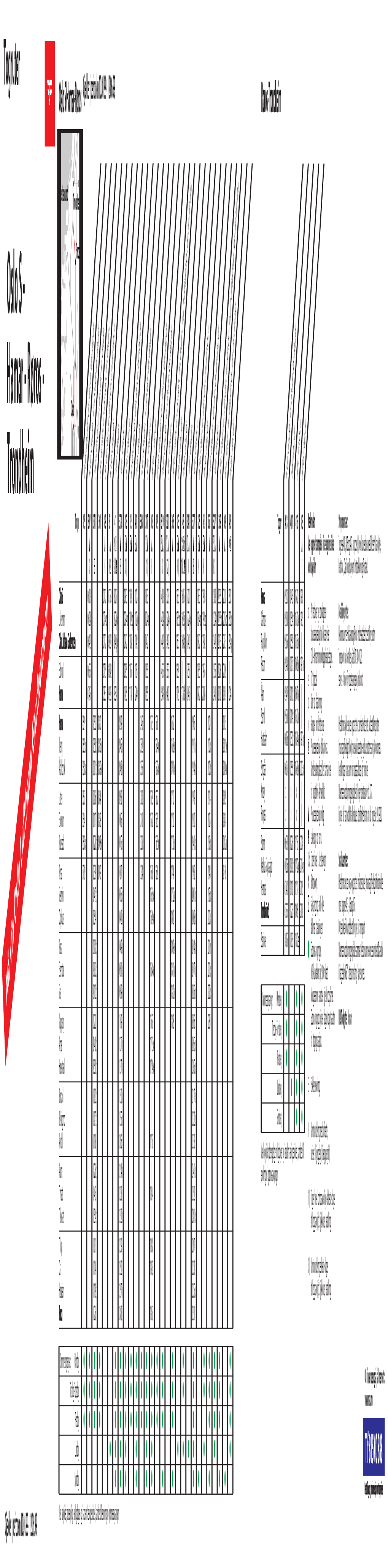 Oslo S/Hamar-Røros Gjelder I Perioden 10.01.99 - 12.06.99 Røros-Trondheim