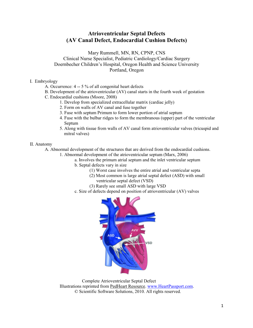 Atrioventricular Septal Defects (AV Canal Defect, Endocardial Cushion Defects)