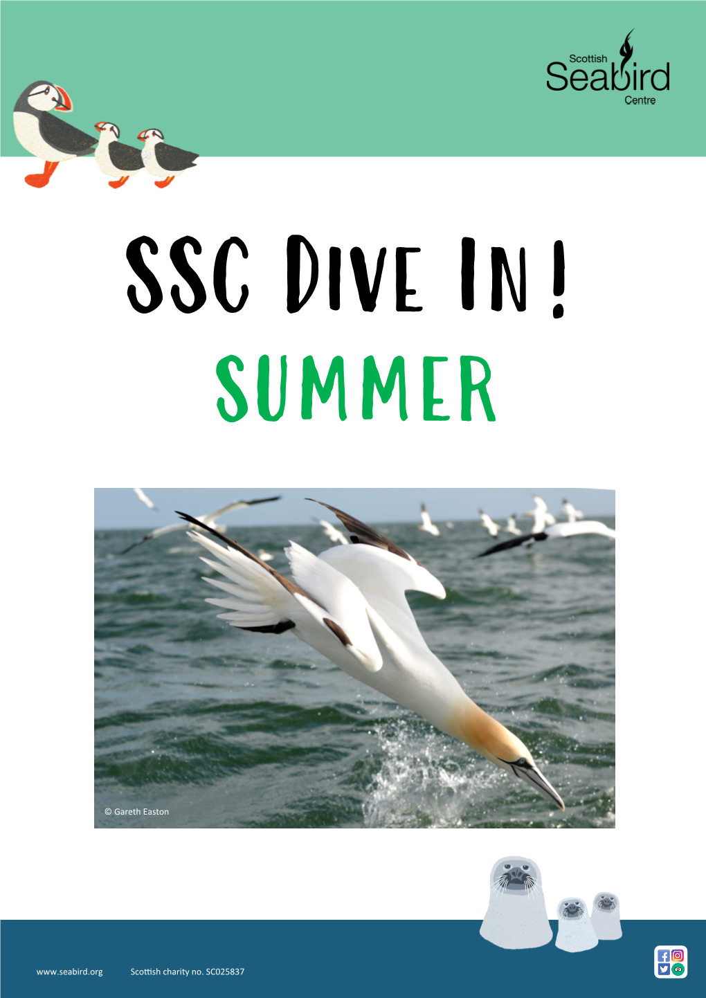 SSC Dive In! Summer