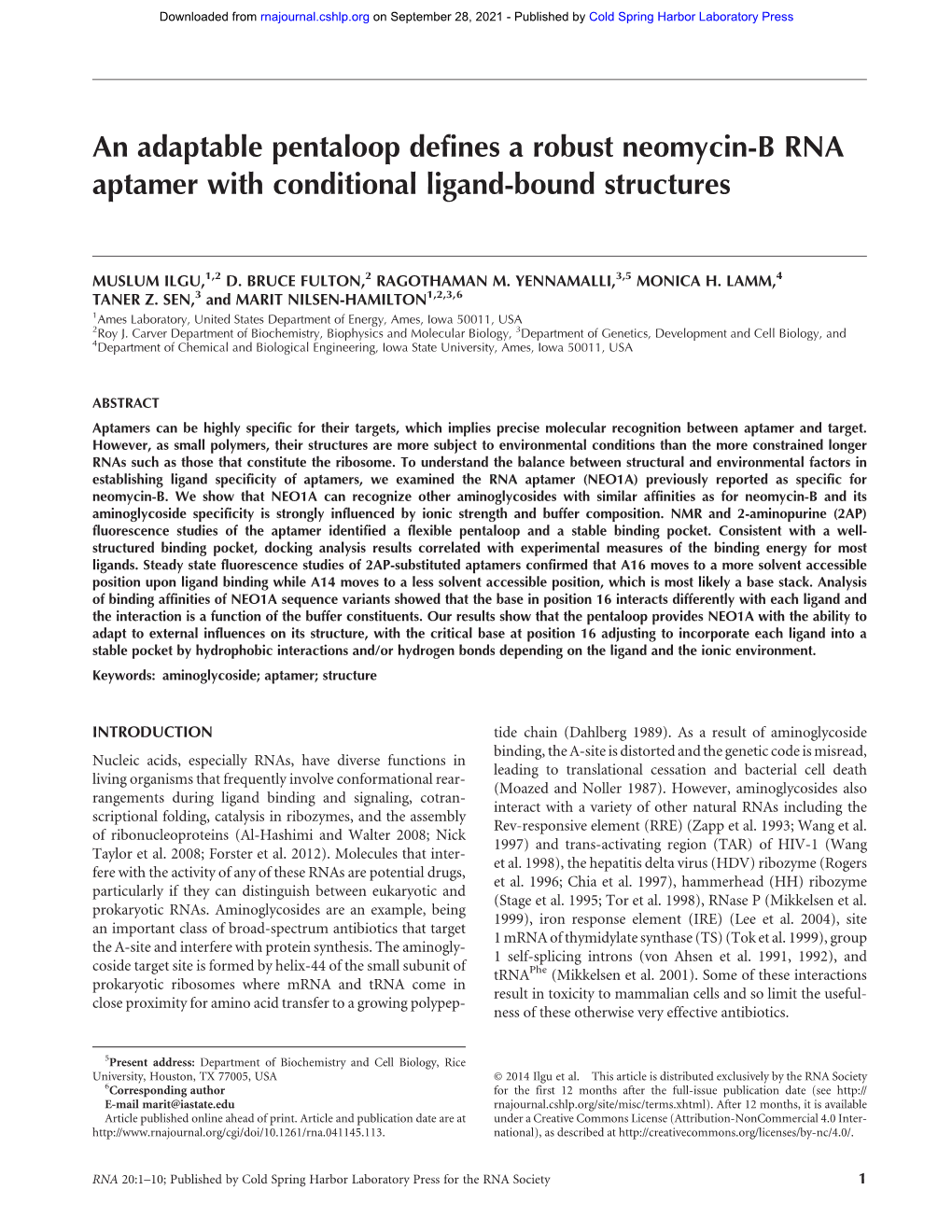 An Adaptable Pentaloop Defines a Robust Neomycin-B RNA Aptamer with Conditional Ligand-Bound Structures