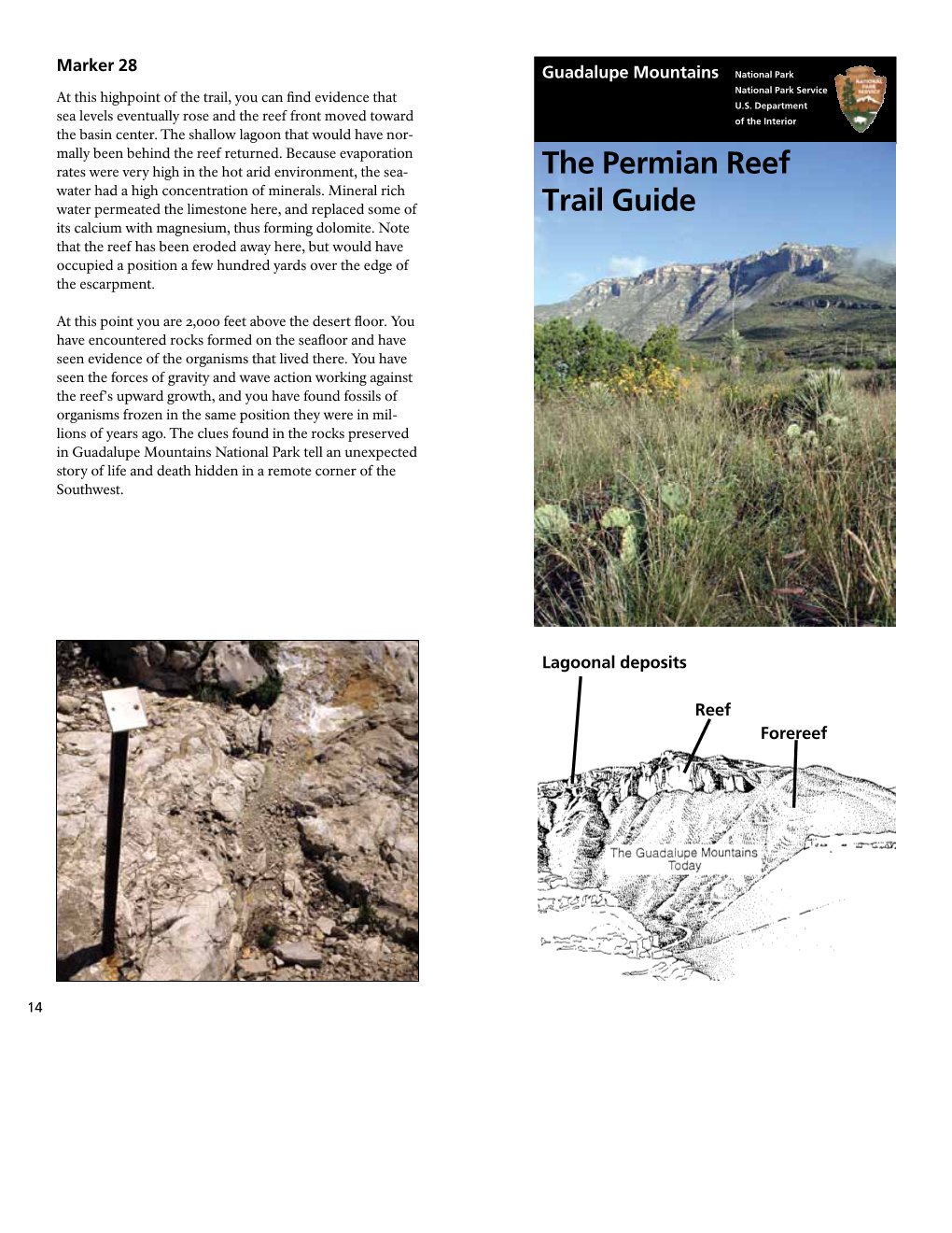 Permian Reef Water Had a High Concentration of Minerals