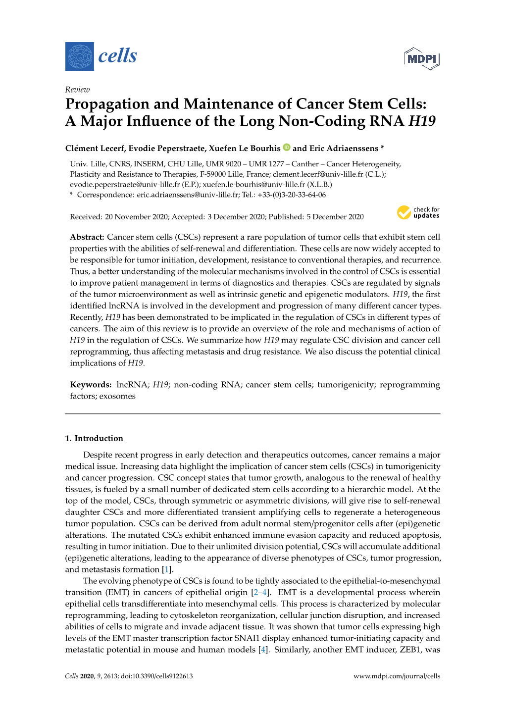 A Major Influence of the Long Non-Coding RNA