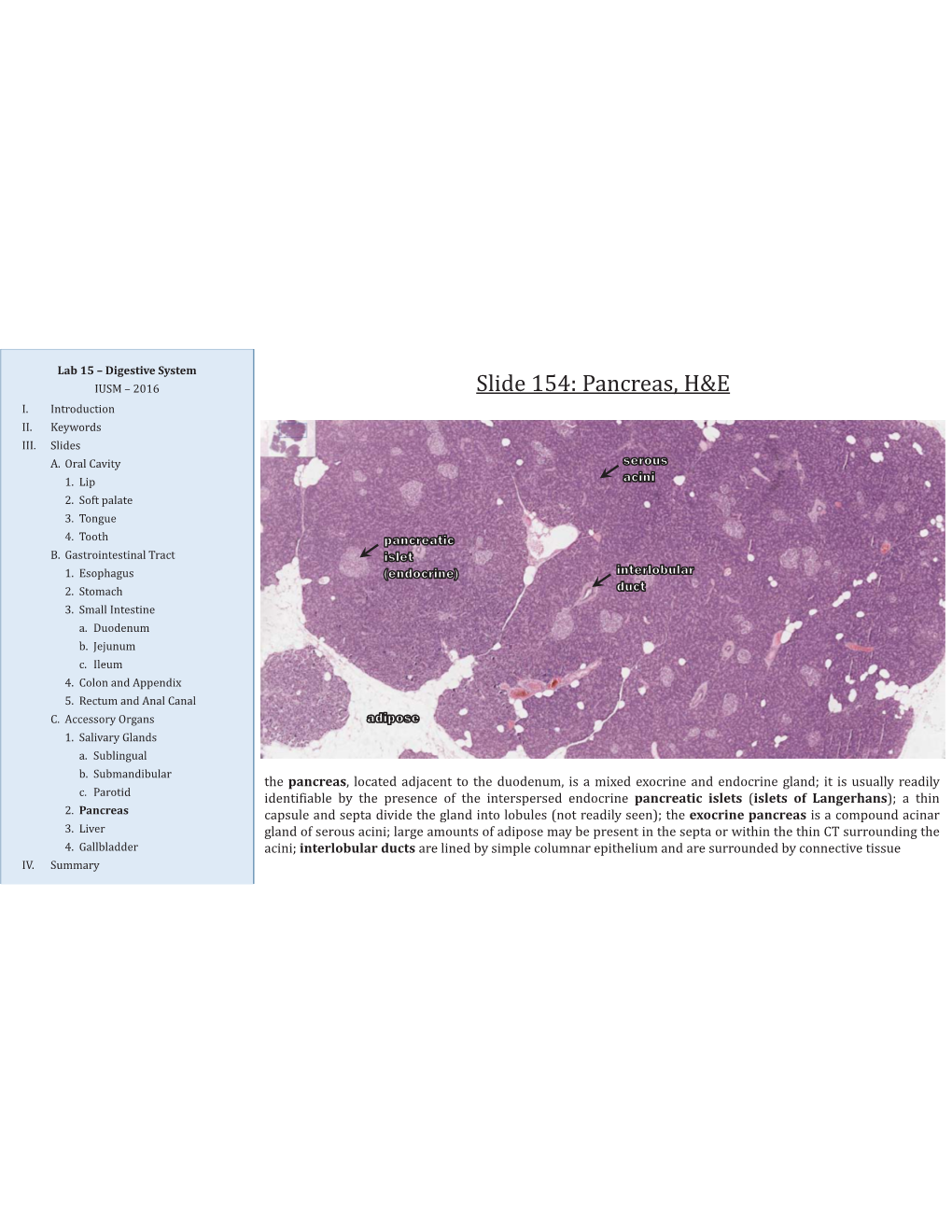 Liver, GB & Pancreas