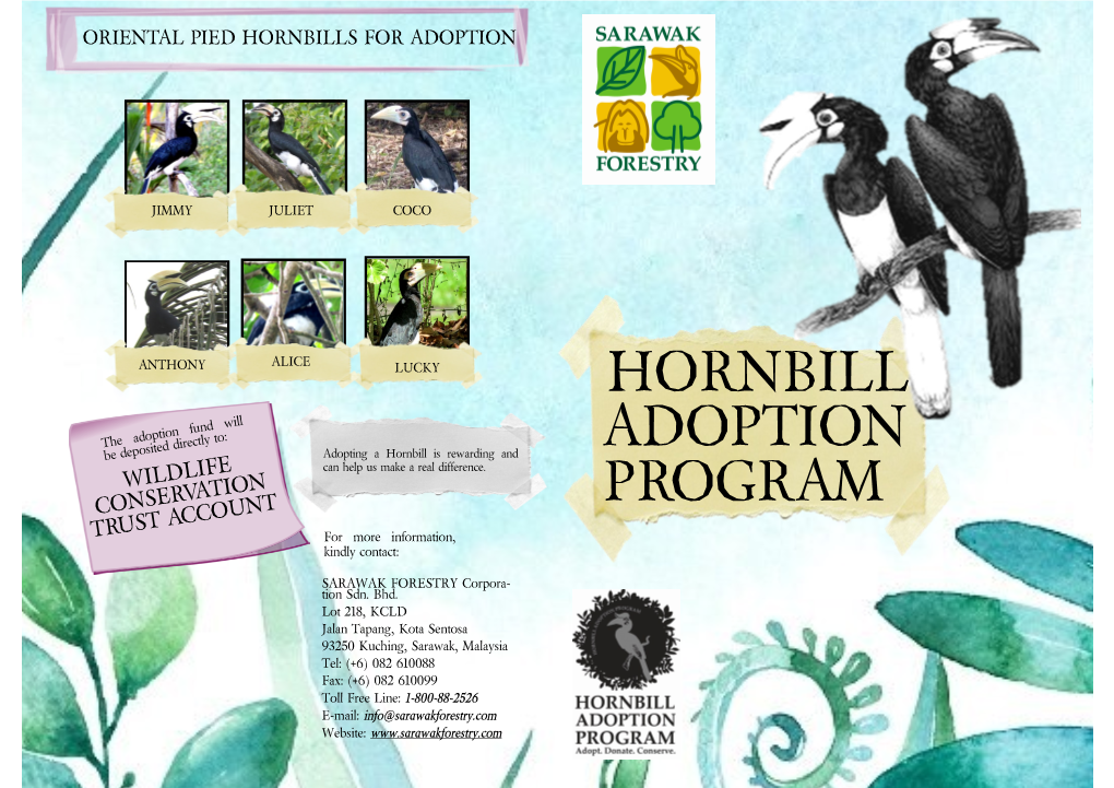Hornbill Adoption Program