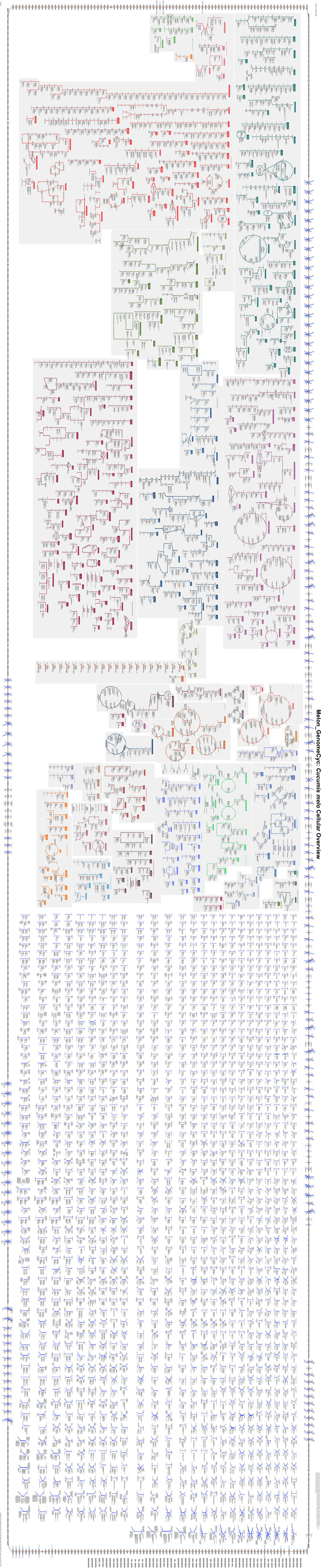 Generated by SRI International Pathway Tools Version 20.0 on Thu